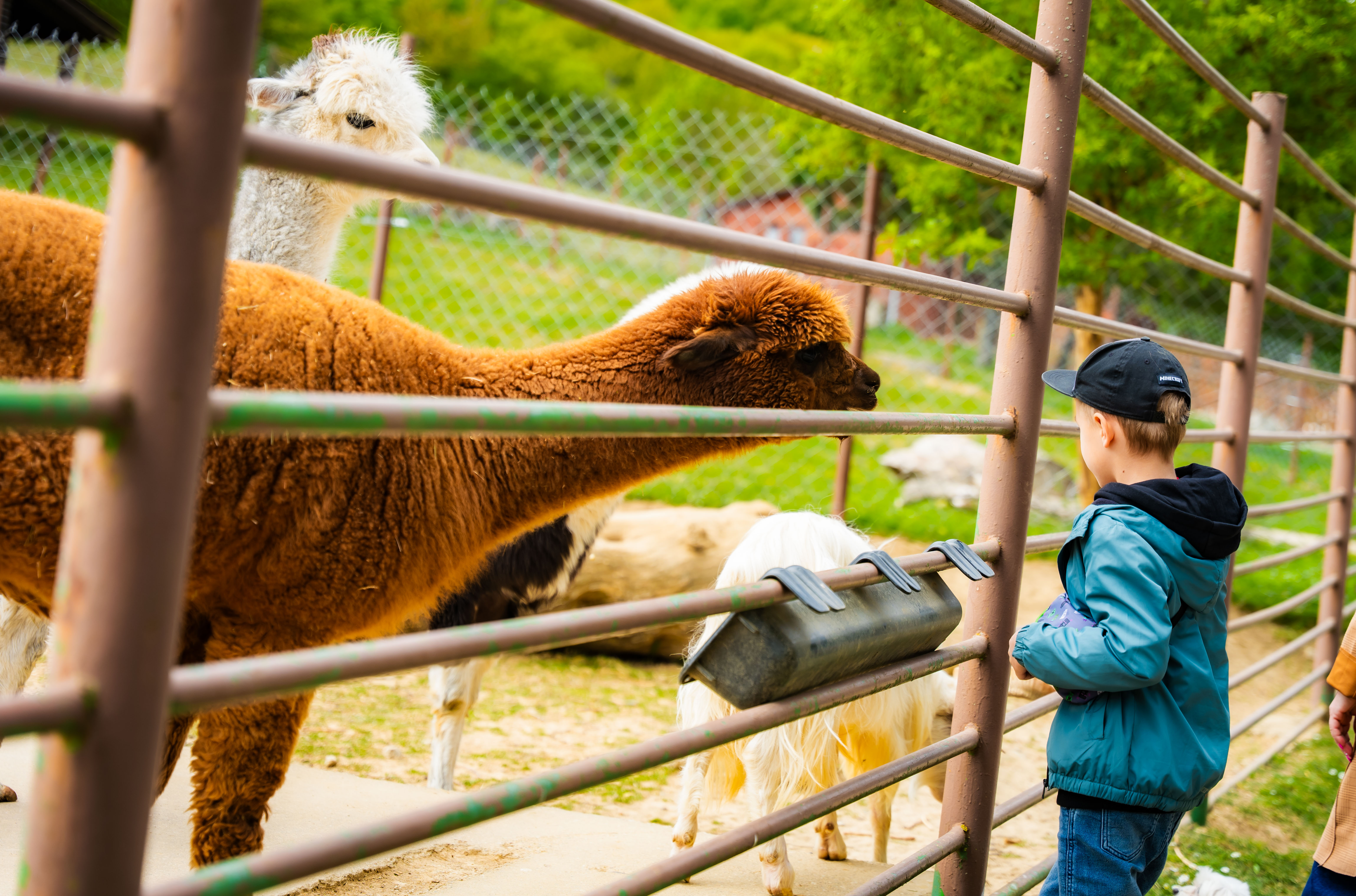 Slavnostne odomykanie vrany ZOO Kosice-1-30